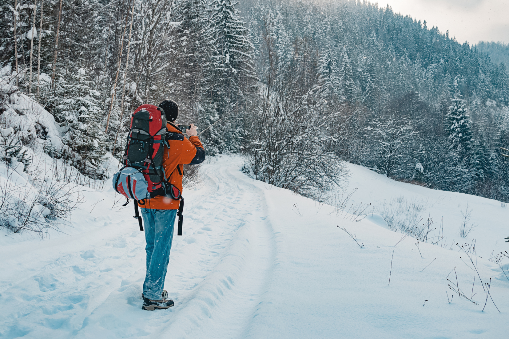 Bilden visar en vinterklädda skog som utstrålar ett lugn och får en att tänka på en fin vinter. Viva Bemanning söker en allmänspecialist till Jämtland för uppdrag.