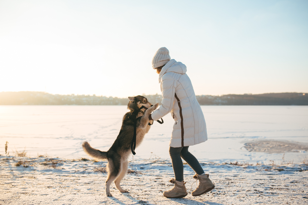 På bilden ser vi en kvinna och hennes hund som leker i snön. Som legitimerad barnmorska kan du uppleva vintern i Sundsvall under ditt bemanningsuppdrag.